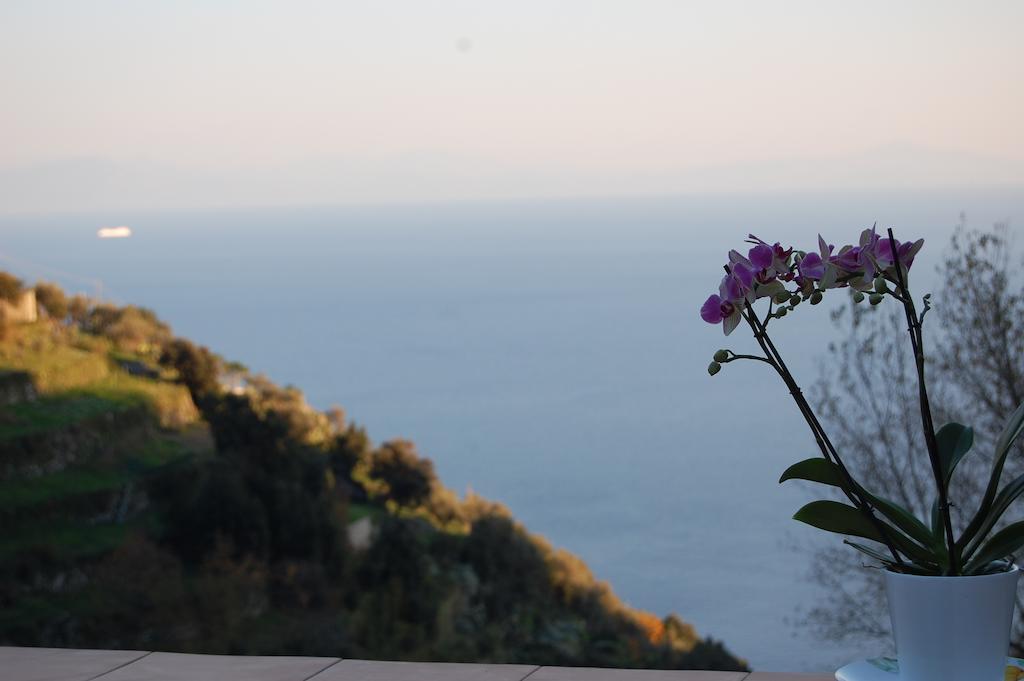 Tenuta Mamma Carmela Amalfi Exterior foto